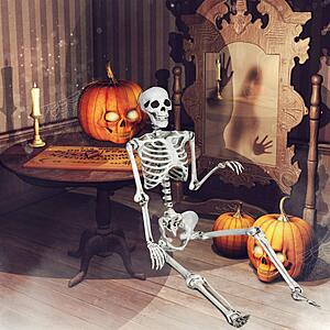 GIANTEX 5.4 Ft Halloween Skeleton, Life Size Realistic Human Bones, PP Material, Seven Adjustable Joints $29.99