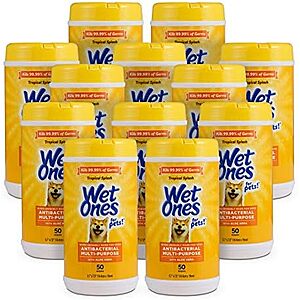 [SnS, AC] $24.55 | 12-Pack 50-Count Wet Ones for Pets Antibacterial Dog Wipes (Tropical Splash) at Amazon