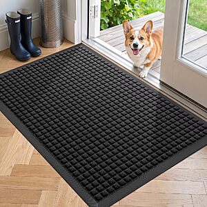 WELDUN Front Door Mat Outside Entrance, Heavy Duty Doormat, 29.5"x17" $6.29