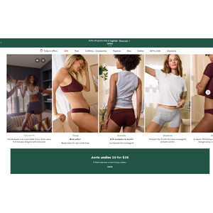 Aerie Underwear Sale - 10 Pairs For $38
