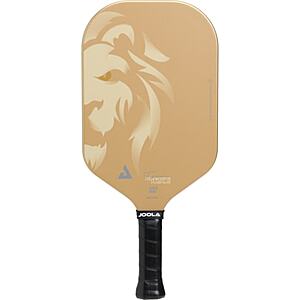 JOOLA Tyson McGuffin Magnus CAS Pickleball Paddle (Gold) $19.99 & More + Free Shipping