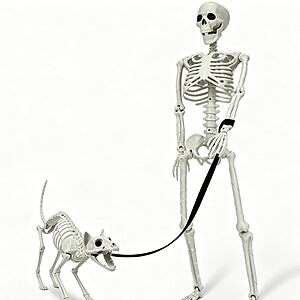 Lighted Human & Cat Skeleton Halloween Decorations Outdoor/Indoor $22.99