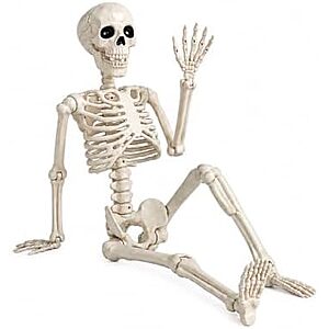 $16.99* | 36" GCNBCNB Poseable Halloween Skeleton w/ Movable Joints & Hanging Hook at Amazon