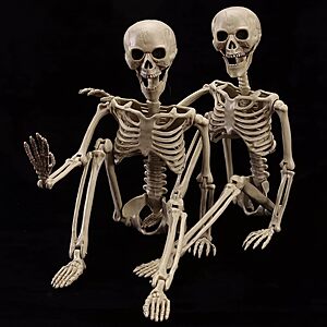 2-Pack 39.3" wymulot Full Body Realistic Posable Skeleton w/ Movable Joints Unlighted $12.49, Plug-In 400 LED Lighted $15.00  $12.49 + Free Shipping w/ Prime or on $35+
