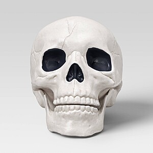 6" Medium Skull Halloween Decorative Prop Light Off-White - Hyde and EEK! Boutique™ $2.5