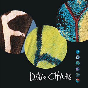 Dixie Chicks "Fly" (Vinyl 2LP + MP3 Album) $22 + Free Shipping w/ Prime or on $35+