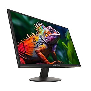 24" Sceptre FHD 1080p LED Monitor 100Hz w/ Built-In Speakers (E248W-19203R) $82.97 + Free Shipping