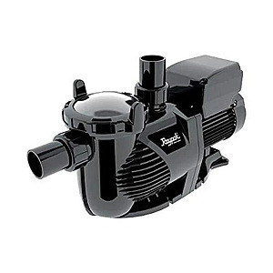 Raypak Protege 1.5 HP Variable Speed Above Ground Pool Pump, Permanent Magnet Motor, Quiet Operation, Clear Quick-Release Lid, 1.5" + Free Shipping $41.40