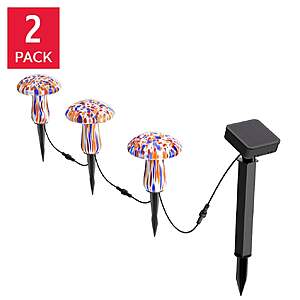 Infinity X1 Glass Solar Mushroom Landscape Lights, 2-pack $52.99 Multi or White Free Shipping Costco.com