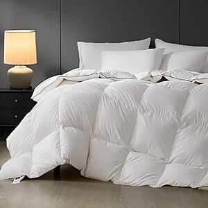 Sleeprove Queen Size Down Comforter All Season Noiseless White Duvet 90x90 $59.99