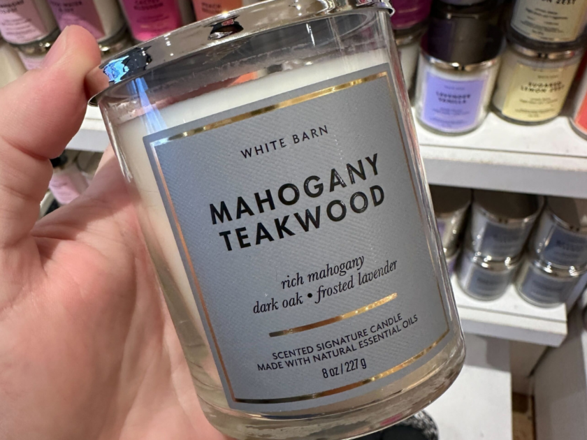 TODAY ONLY! Bath & Body Works Single-Wick Candles Only $5.95 (Reg. $17)