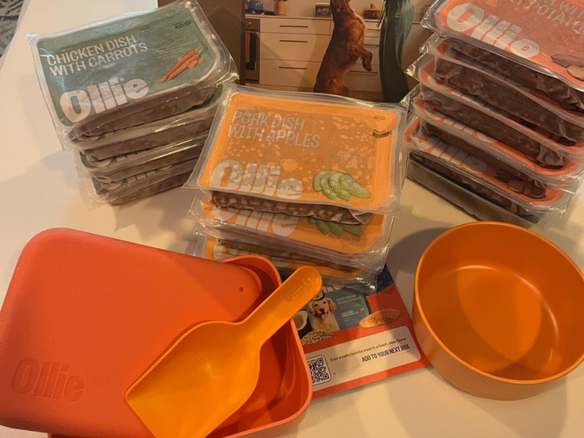 Ollie Fresh Dog Food Deal! 70% Off Your First Box + Free Food Bowl & Containers!