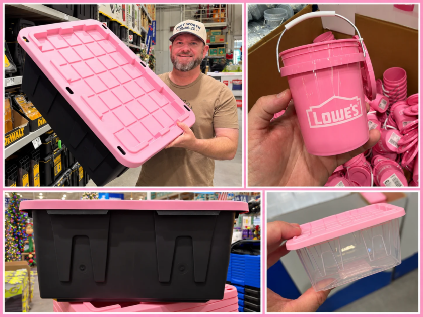 Who Knew Storage Could Be This Cute? Pink Lowe’s Finds From $1.98