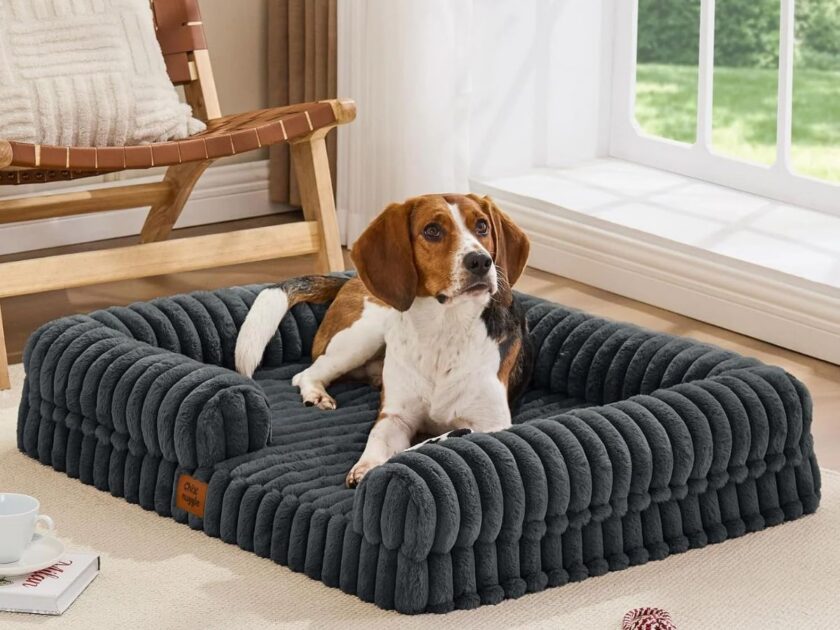 Bolster Orthopedic Dog Bed Only $24.xx on Amazon (Reg. $50)