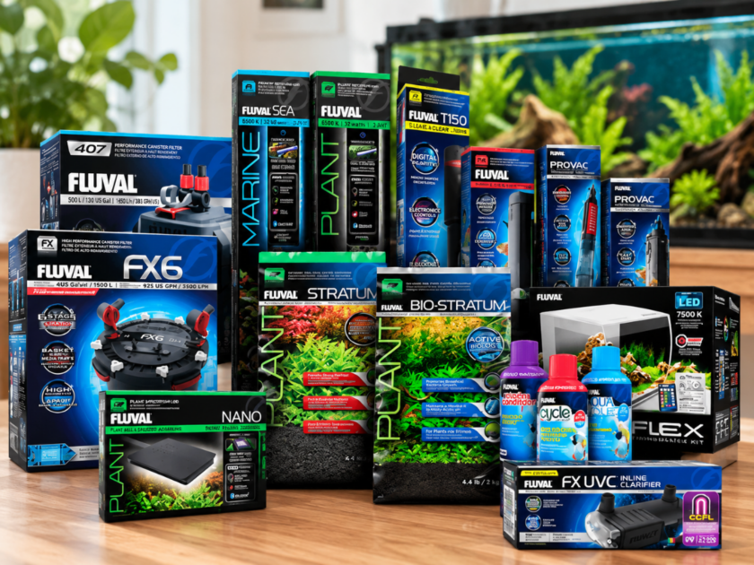FREE Fluval Products for Fish Lovers – Apply to Be a Product Tester!