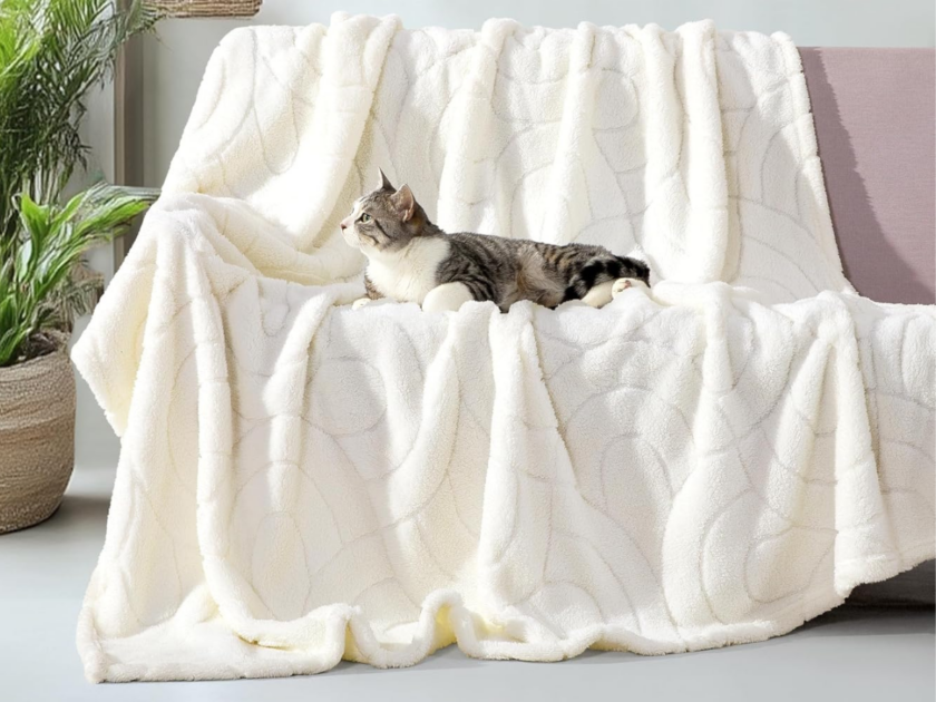 Throw Blanket Just $4.xx on Amazon!
