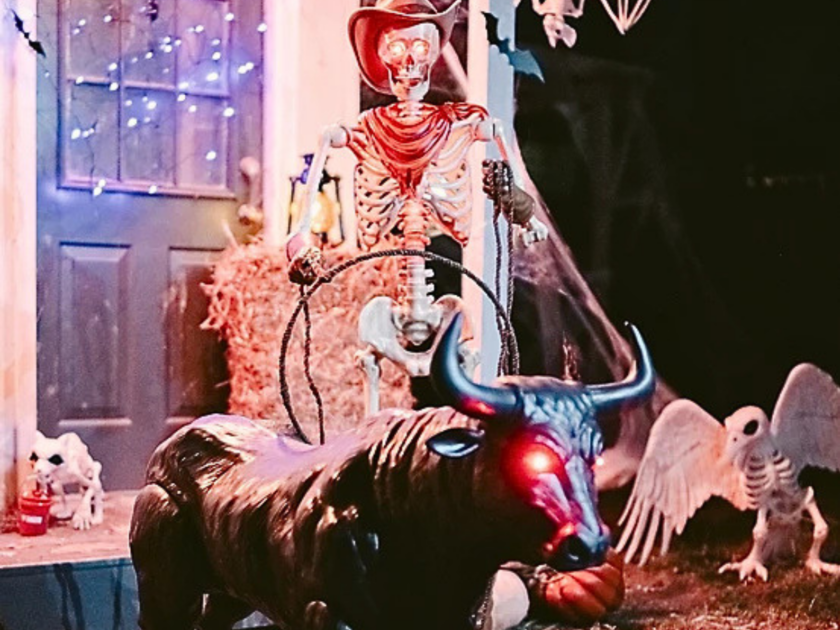 50% Off Tractor Supply Halloween – Prices From $2!