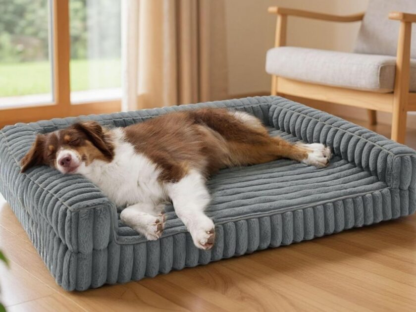 Bedsure Large Memory Foam Orthopedic Dog Bed Only $22.xx on Amazon (Reg. $54)