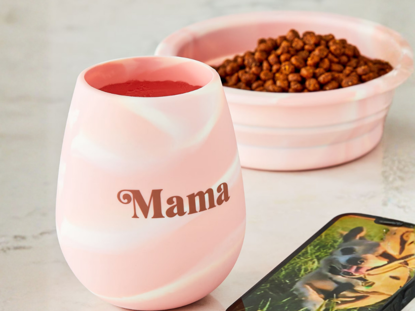 CUTE! Matching Mama Silicone Glass & Dog Bowl Set Only $3 at Walmart (Reg $10)