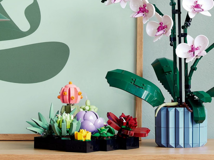 LEGO Botanicals Succulents Only $34.xx on Amazon (Reg $50)