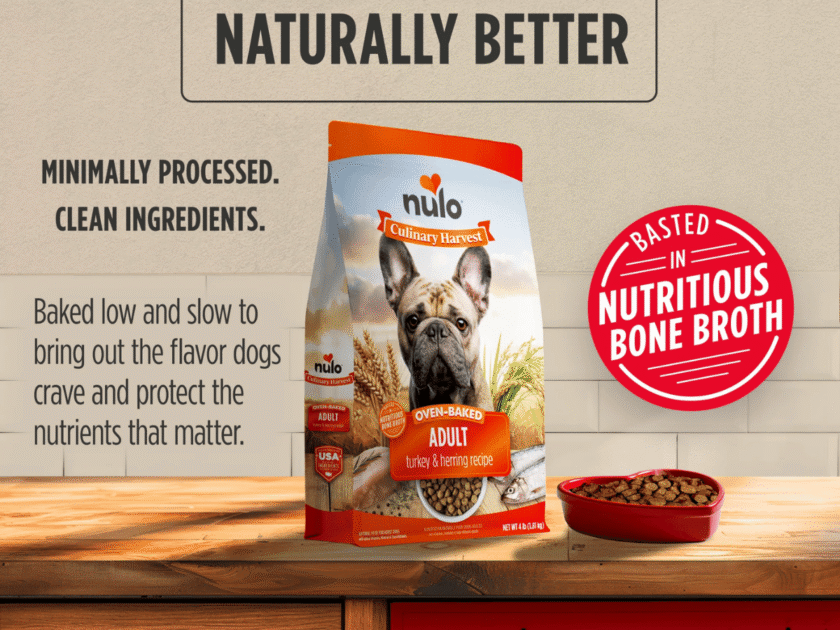 Free nulo Culinary Harvest, Turkey & Herring Kibble Sample for Adult Dogs