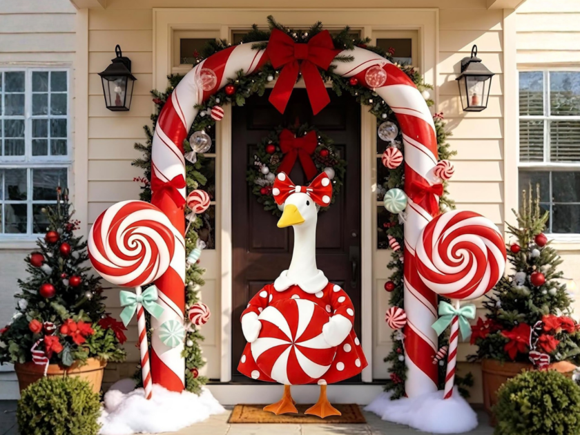 Holiday Porch Goose Outfits Available on Amazon!