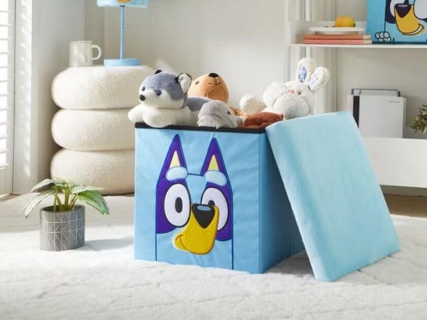 Kid’s Bluey Storage Ottoman Only $15.04 at Walmart (Reg. $43)