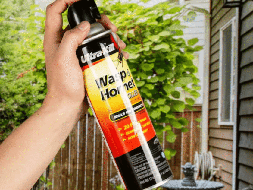 $2 Ultra-Kill Wasp and Hornet Spray