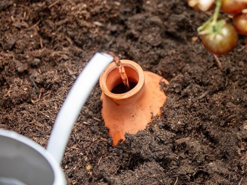 Back to the Roots Self-Watering Terracotta Olla Pot Just $4.xx on Amazon (Reg. $10)
