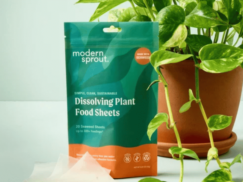 Free modern sprout Dissolving Plant Food Sheets Sample!