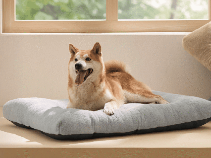 Bedsure Large Washable Dog Crate Bed Just $14.xx on Amazon (Reg $30)