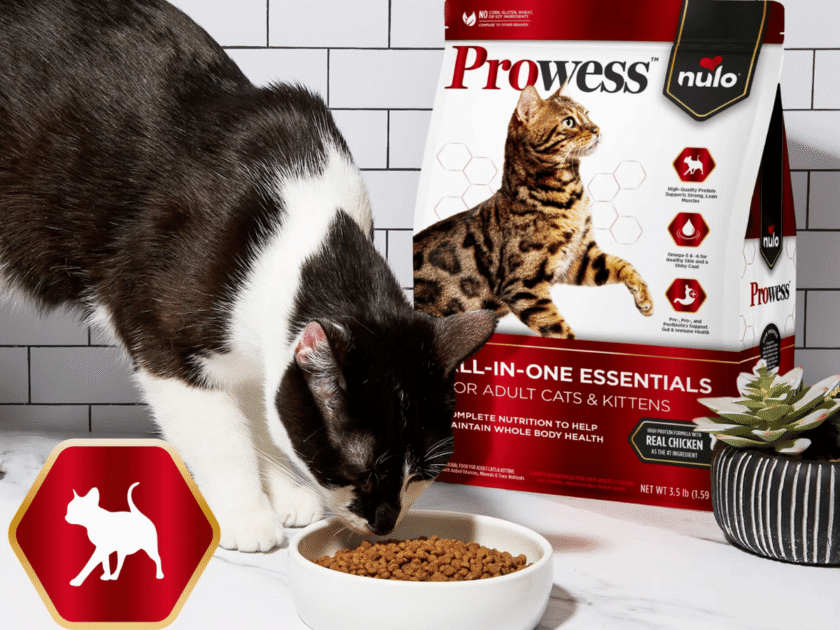 Free Prowess nulo All-In-One Dry Cat Food Sample (Select Areas)