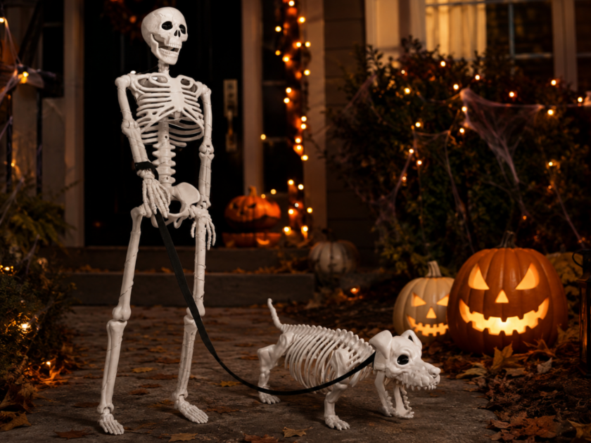 Lighted Human & Dog Skeleton Halloween Decoration Only $41.xx on Amazon (Reg. $80)
