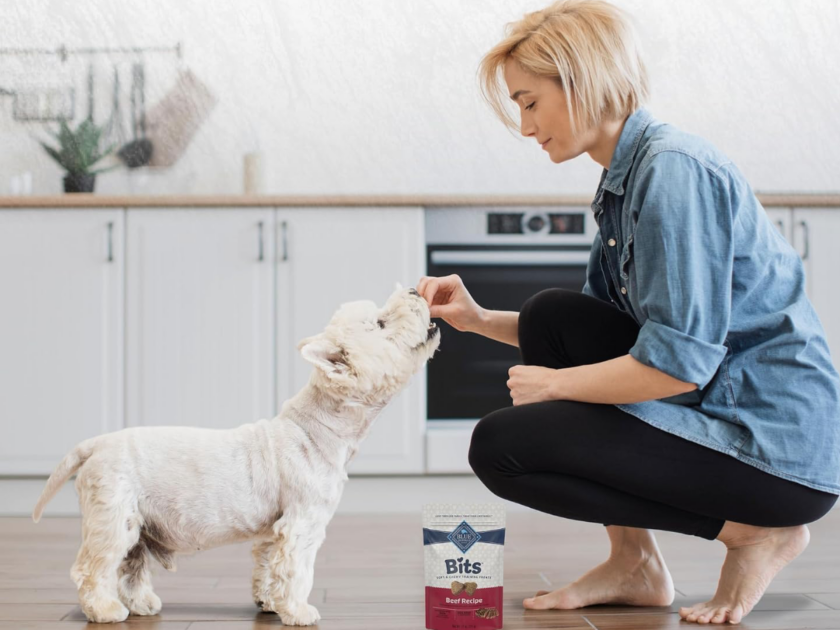 Blue Buffalo Bits Beef Training Treats Only $3.xx on Amazon (Reg $7)