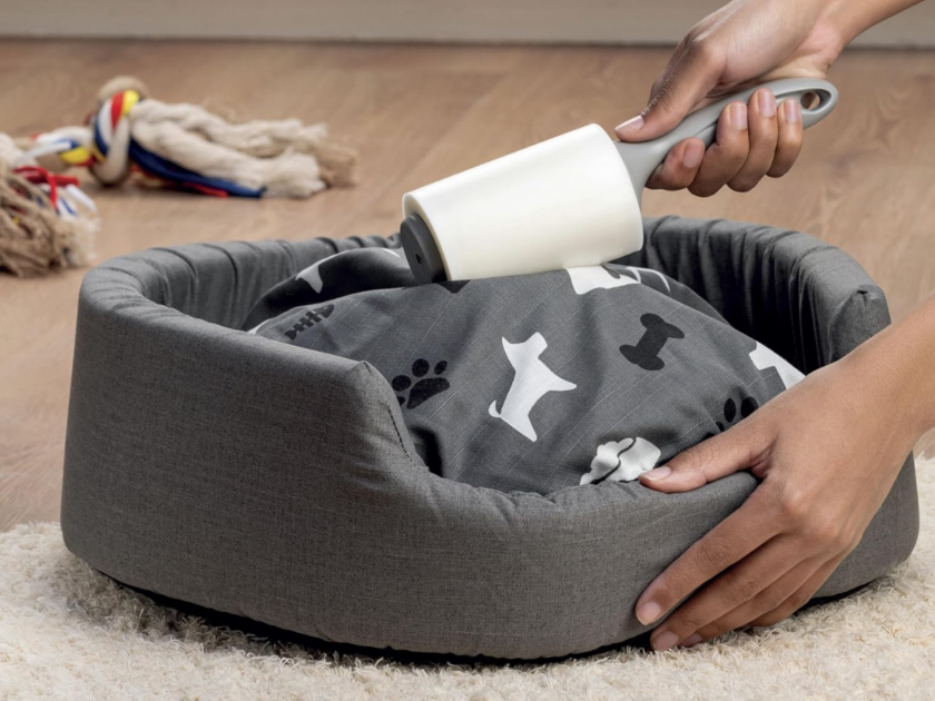 Scotch-Brite Pet Hair Extra Sticky Lint Roller 2ct Only $5.xx on Amazon (Reg $12)
