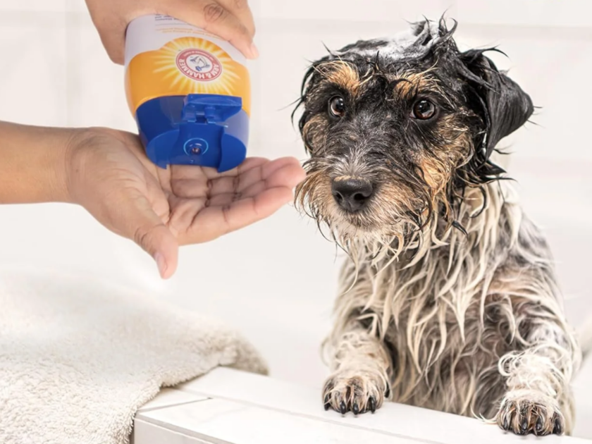 Arm & Hammer Tearless Puppy Shampoo Only $3.xx on Amazon (Reg $8)