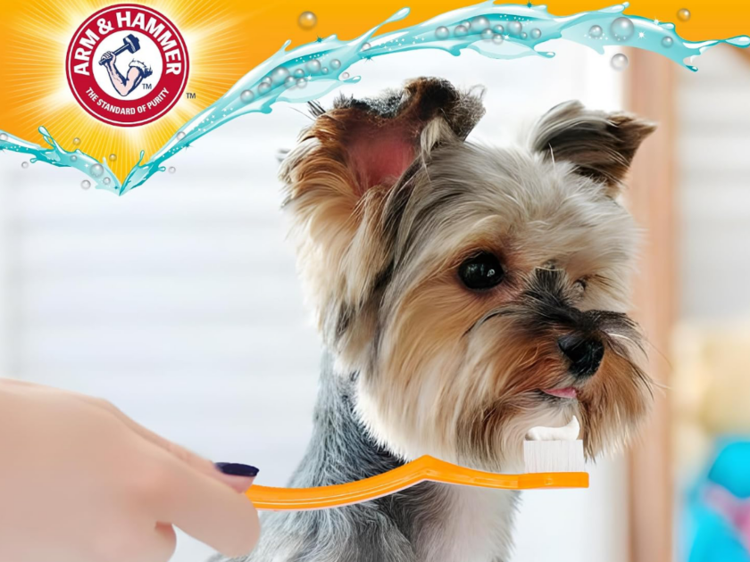 Arm & Hammer Complete Care Puppy Toothpaste Only $3.xx on Amazon (Reg $7)