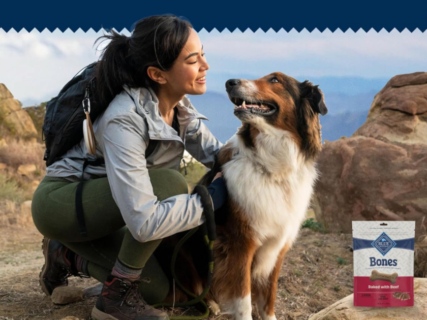Blue Buffalo Bones Beef Large Dog Biscuits Only $11.xx on Amazon (Reg $20)