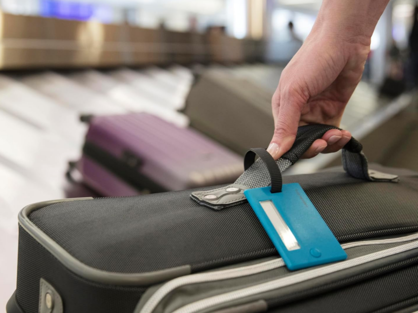 Travelon Set of 2 Luggage Tags Only $2.xx on Amazon (Reg $11)
