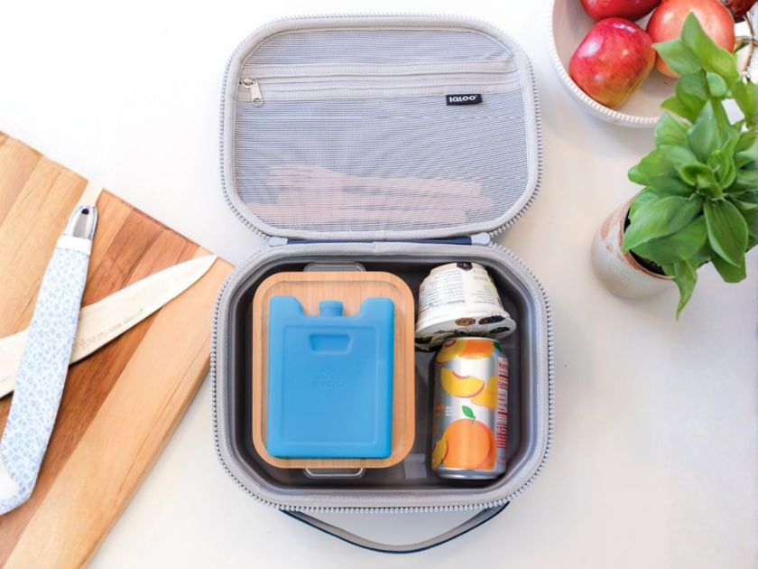 Igloo Maxcold Ice Block 4 Pack only $3.xx on Amazon! (Reg. $11)