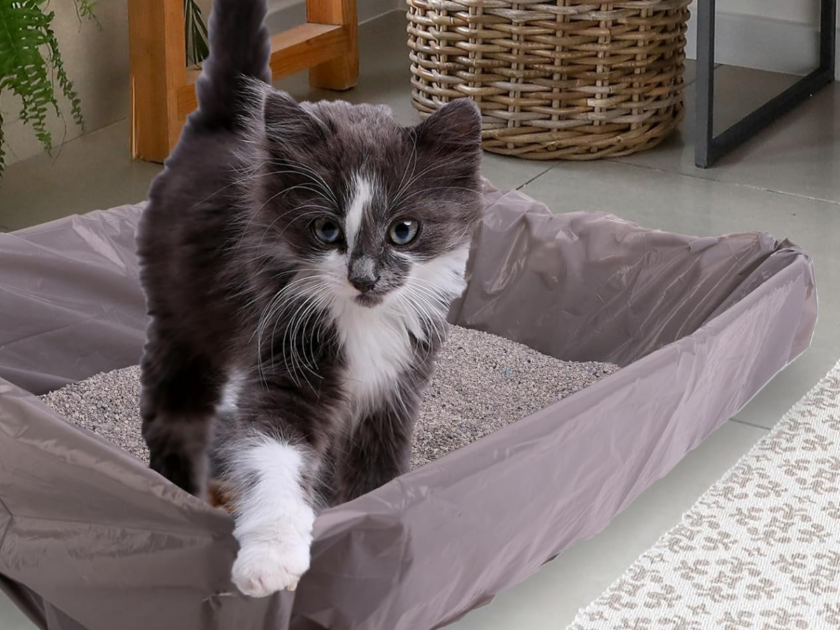 Fresh Step Jumbo Drawstring Cat Litter Box Liners Only $2.xx on Amazon! (Reg $12)