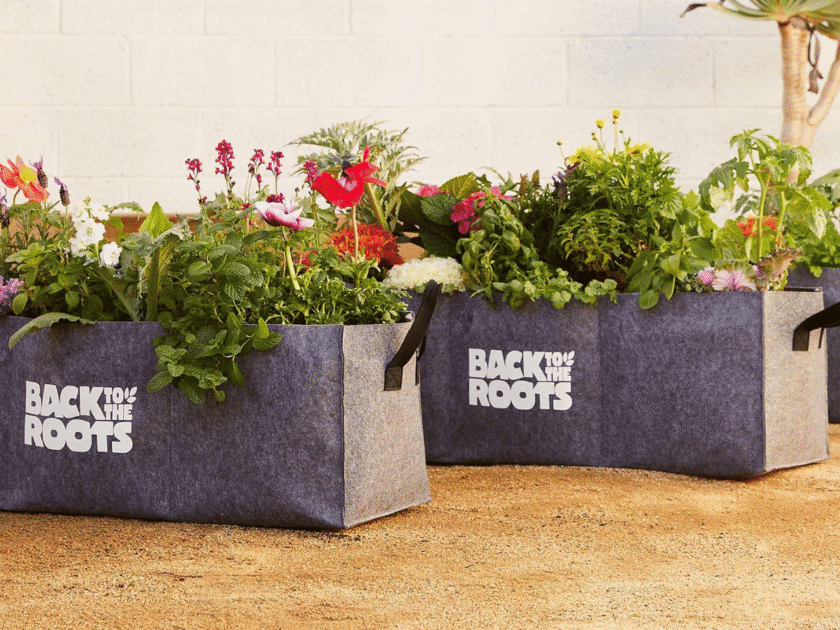 Back to the Roots $125 Garden Giveaway!