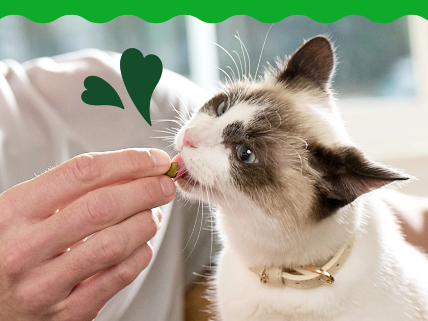 Greenies Feline Smartbites Healthy Kitten Treats Only $13.xx on Amazon (Reg $20)
