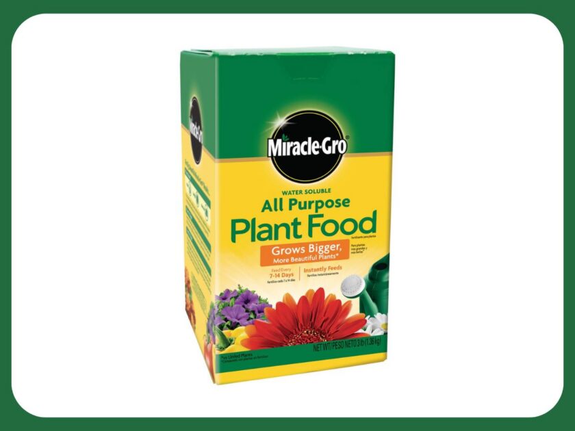 Miracle-Gro All Purpose Plant Food 3lbs Only $9.xx on Amazon (Reg. $16)