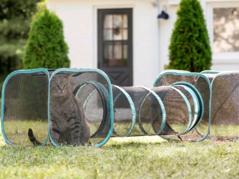 Kitty City Two-Way Cat Tunnel only $4.10 at Walmart! (Reg $26)