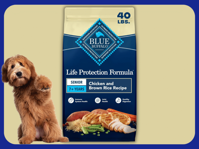 RUN! 40 lb Bag of Blue Buffalo Dog Food Only $16.xx on Amazon (Reg.$90).