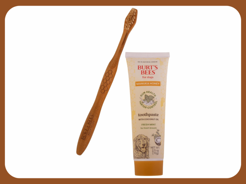 Burt’s Bees for Pets Fresh Mint Dog Dental Kit Only $7.xx on Amazon (Reg $13)