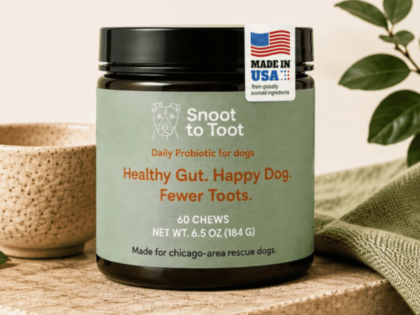 Apply to Try Snoot to Toot Digestive Chews for Free!