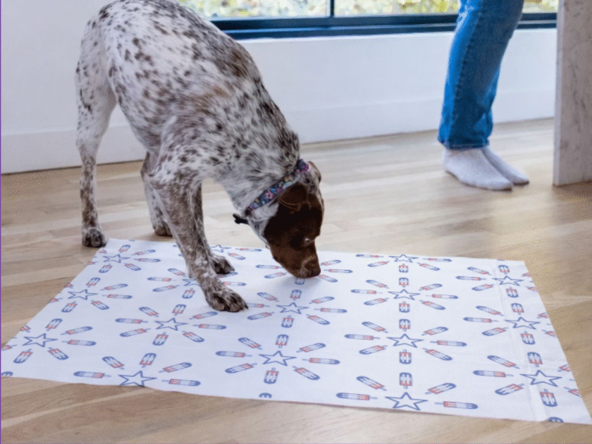 Pet Life Unlimited Dog Pads XL 25-Count Only 44¢ After Offers (Reg. $18)