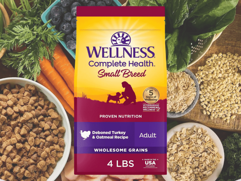 Wellness Complete Dog Food 4lb Bag Just $5.xx on Amazon (Reg $20) + More Sizes & Flavors Available